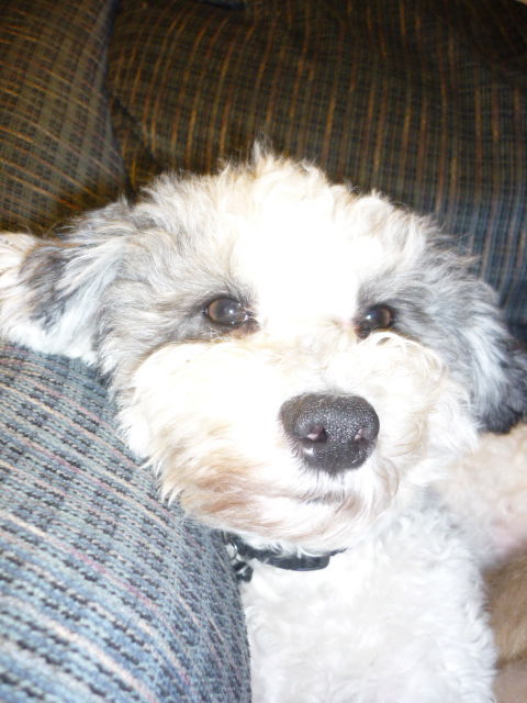 Maggie