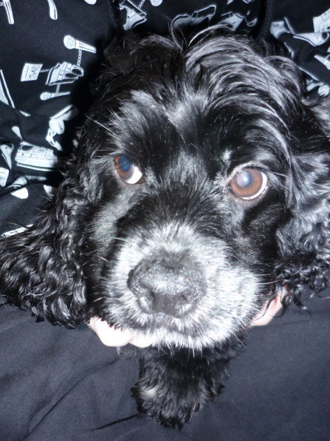 Annie