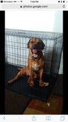 COOPER