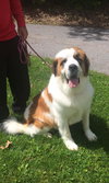 Maggie
