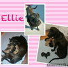 Ellie