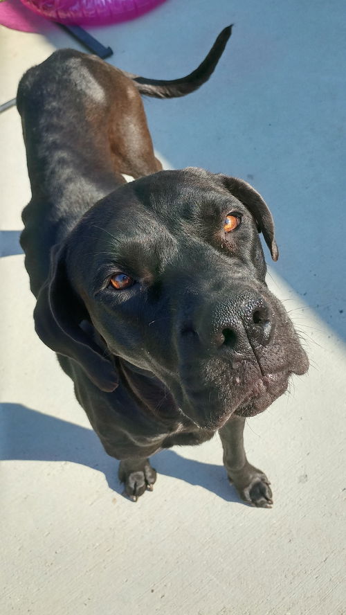 Ellie