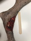 Honor