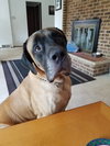 Max