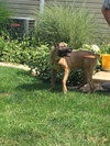 Hunter