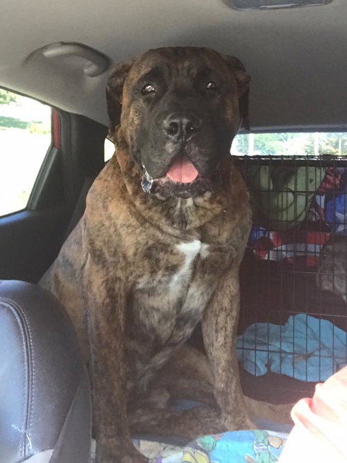 Zeus