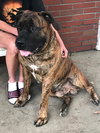 Zeus