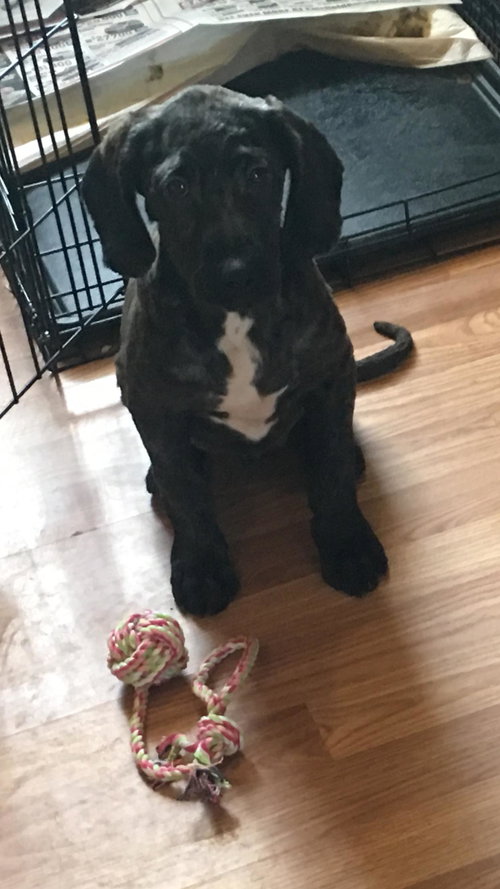 Carson