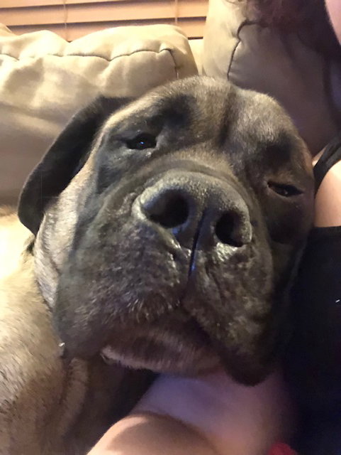 Ernie