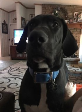Thor