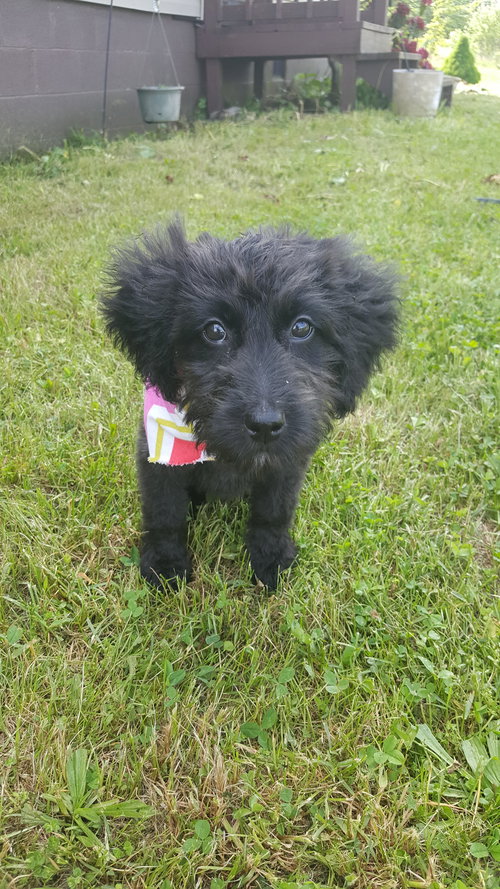 Margarita (Squires)