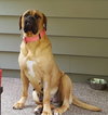 Nora