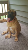 Nora