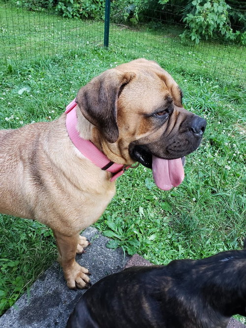 Nora