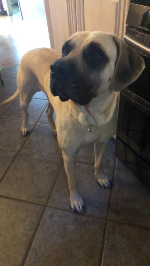 Zeus
