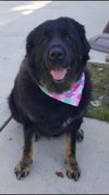 Lucy