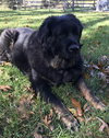 Lucy