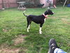 Frannie