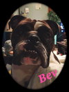 Beverly