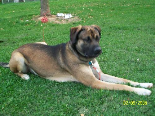 Sampson