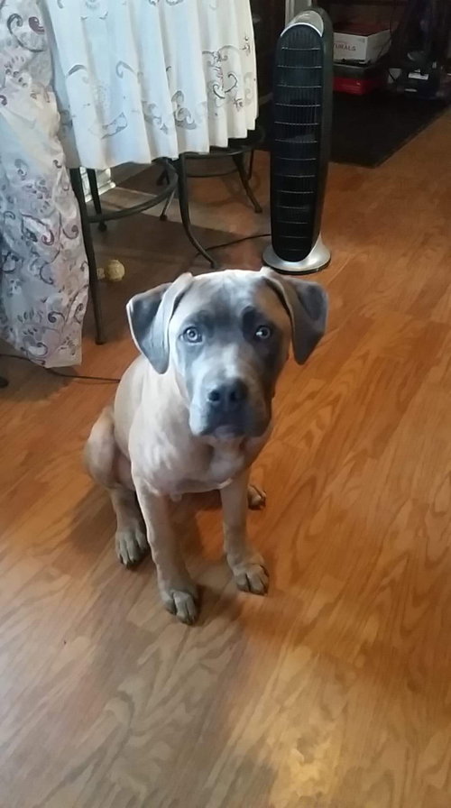 Ben