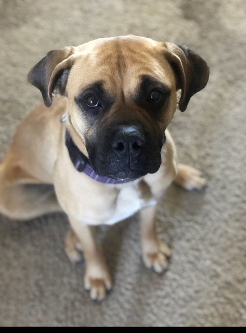 Marley