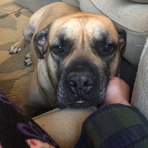 Zeus