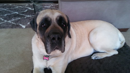 Zoey