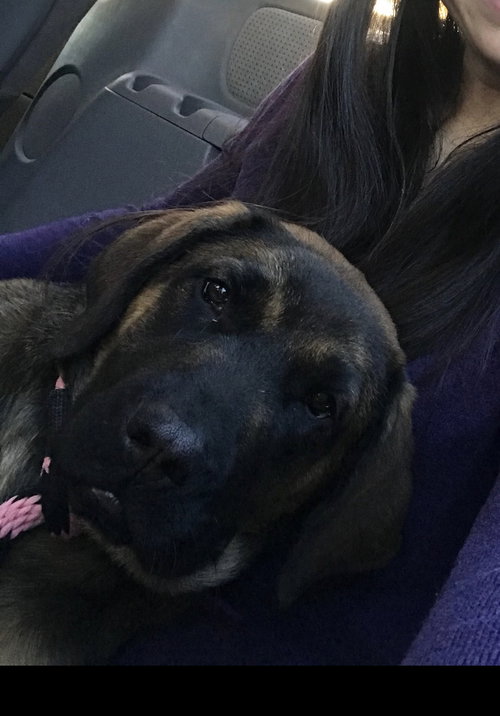 Delilah