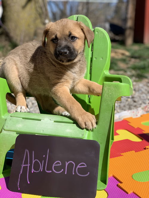 Abilene