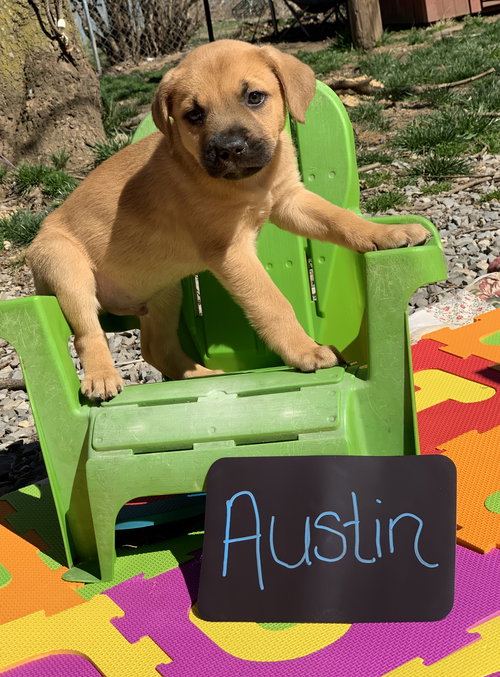 Austin (now Tucker) (Casper)