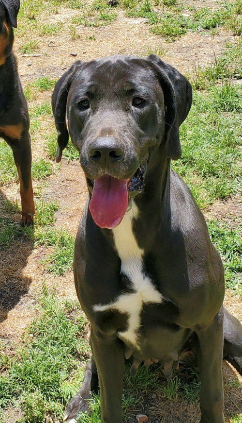 Bonnie