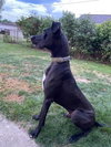 Ryker