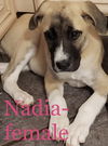 Nadia (Curtin)