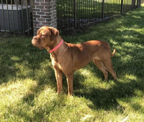 Sadie (Villalpando)