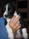Benny