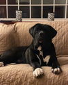 Odin (Cooper)