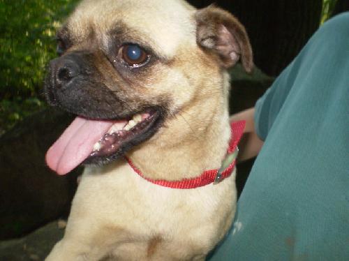 Peggy