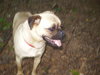 Peggy