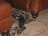 Thelma
