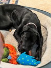 Hera