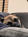 Lucy
