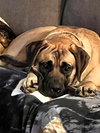 Lucy
