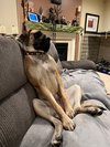 Lucy