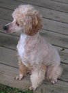 Charley