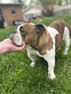 Lola