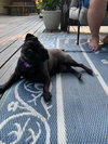Betty