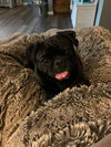 Betty