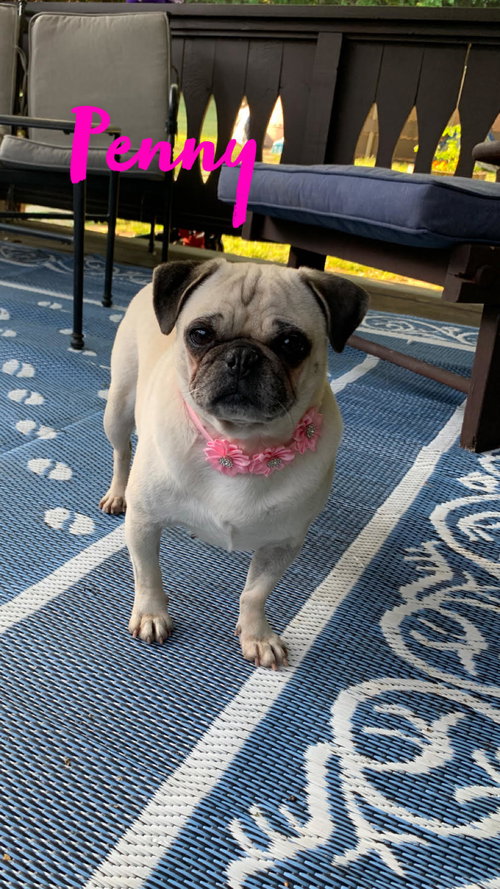 Penny