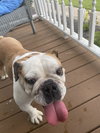 Daisy, EBD